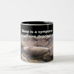 sunbathing seal mug