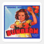 Sunbeam Square Stickers