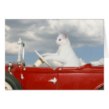 Sunday drive greeting cards