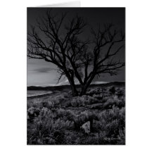 Sundown Card