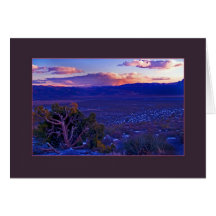 Sundown, Mojave Desert Card