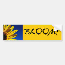 Sunflower Bloom Bumper Sticker