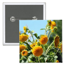 Sunflower Button