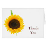 sunflower by Petr Kratochvil, Thank You Note Greeting Card
