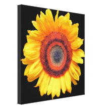 SUNFLOWER CANVAS PRINT