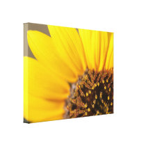 Sunflower Closeup Macro View canvas prints