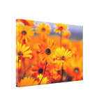 sunflower daisies canvas print