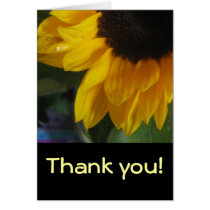 Sunflower detail cards