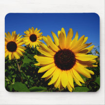 Sunflower Field Mousepad