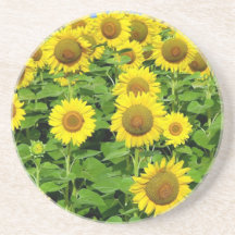 Sunflower Fields Drink Coaster