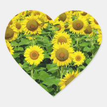 Sunflower Fields Heart Sticker