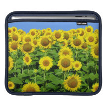 Sunflower Fields iPad Sleeves