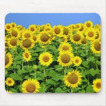 Sunflower Fields Mousepads