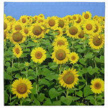 Sunflower Fields Printed Napkin