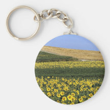 Sunflower fields, Tuscany, Italy Keychains