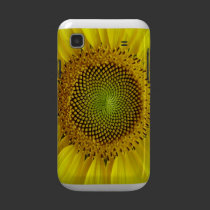 Sunflower Galaxy S casemate cases