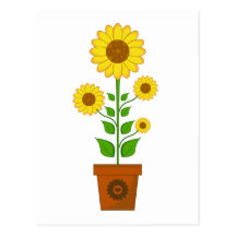 Sunflower in Pot Postcard