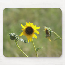 Sunflower Mouse Mat