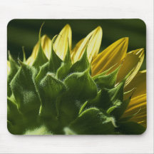 Sunflower Mouse Pad