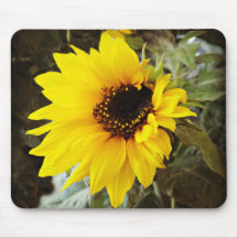 Sunflower Mousepads