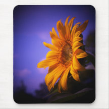 Sunflower Mousepads