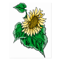 Sunflower Post Card