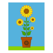 Sunflower Postcard