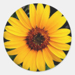 Sunflower Round Stickers