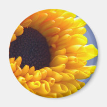 Sunflower Seasonal Inspirationals Fridge Magnets