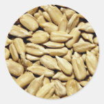 Sunflower seeds  flowers round sticker