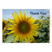 Sunflower Thank You Card