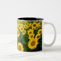 Sunflowers Coffee Mugs