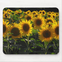 sunflowers mouse pads