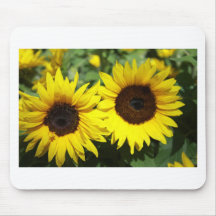 Sunflowers Mouse Pads