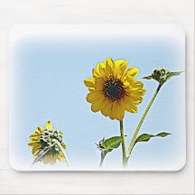 Sunflowers Mousepads