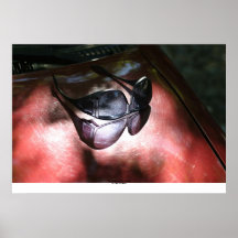 Sunglasses on Car Hood Print
