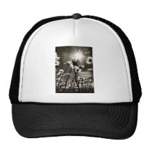 sunkissed daisies hats