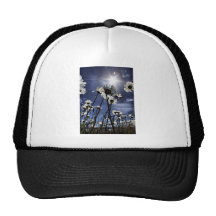 sunkissed daisies mesh hats