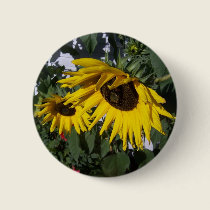 Sunlamp Sunflowers buttons