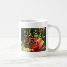Sunlight Buckeye Butterfly Mugs