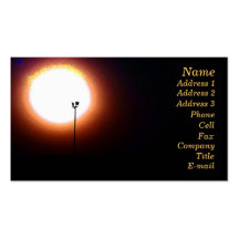 Sunlightpost Business Card