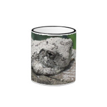 Sunnin' Tree Frog Mugs