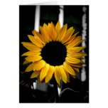Sunny Flower Cards