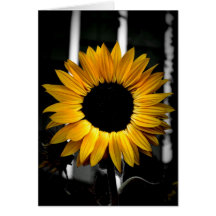 Sunny Flower Cards
