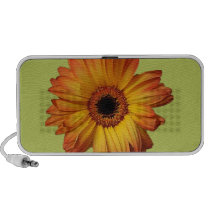 Sunny Orange gerbera flower bloom speakers