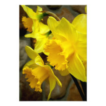 Sunny Petals Personalized Announcement