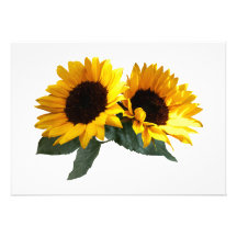 Sunny Sunflowers Invitations