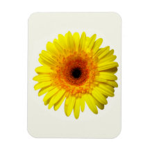 Sunny Yellow Gerbera Daisy Rectangle Magnets