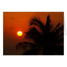 Sunrise and Palm Greeting Cards