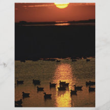 Sunrise at Blackwater National Wildlife Refuge Full Color Flyer